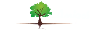 Tree Amigos Orlando Footer Logo 300x105