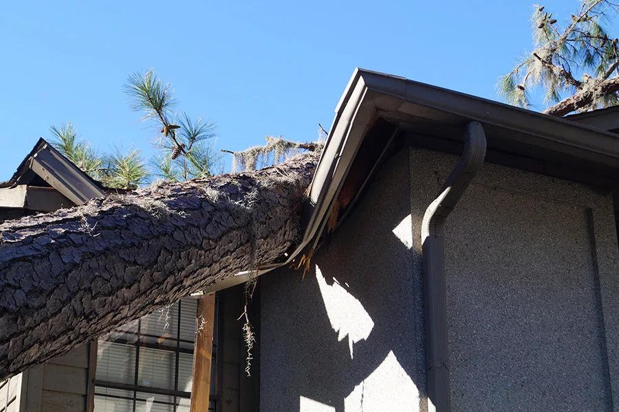 fallen tree on house roof after storm orlando fl