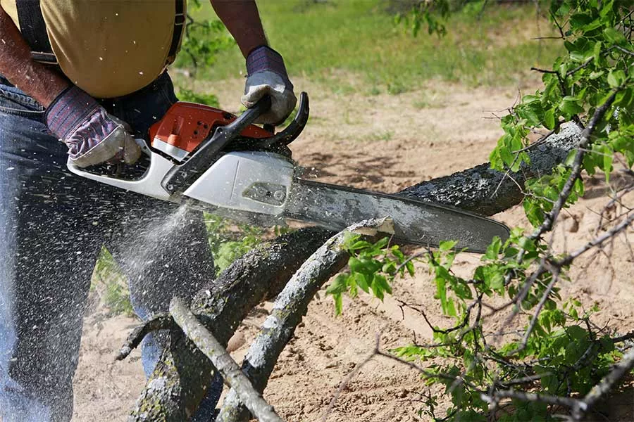 man using chainsaw to chop tree branches union park fl