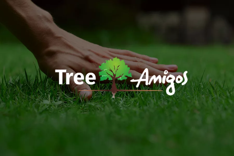 Contact Tree Amigos