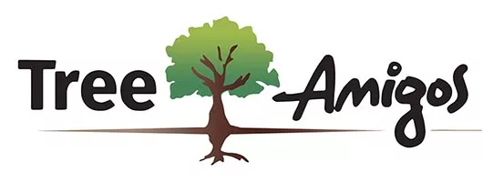 Tree Amigos Orlando - Free Estimates