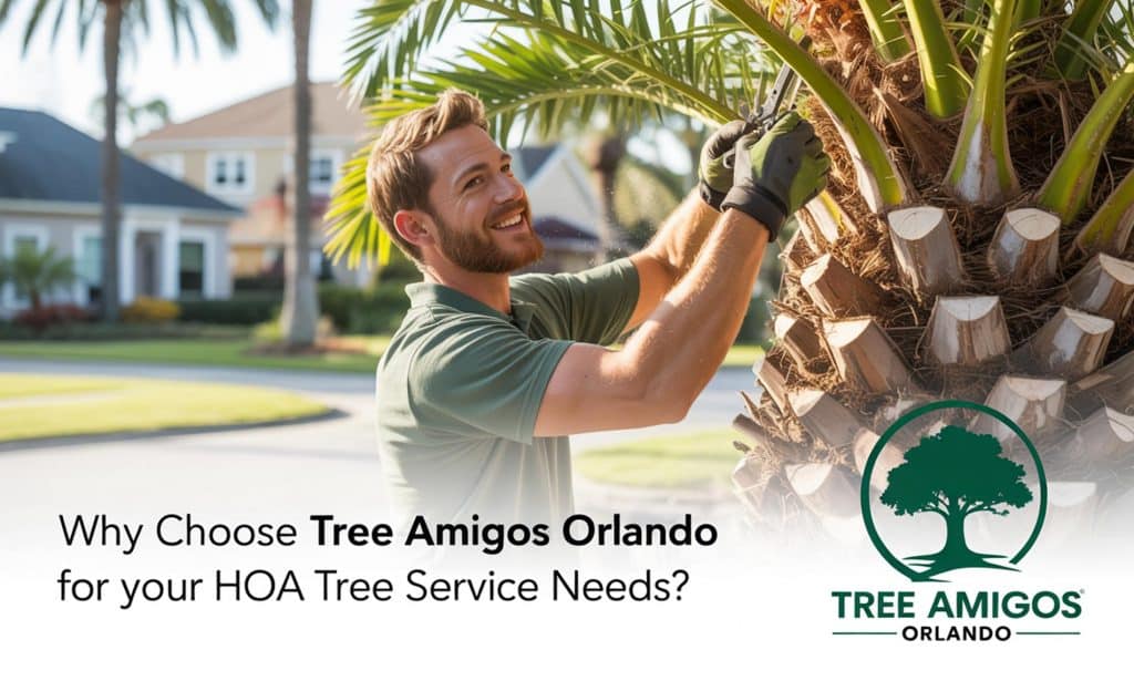 Why Choose Tree Amigos Orlando for Your HOA Tree Service Needs?
