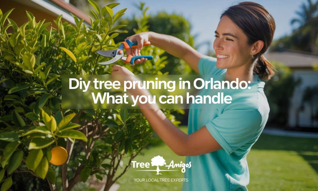 DIY Tree Pruning in Orlando: What You Can Handle