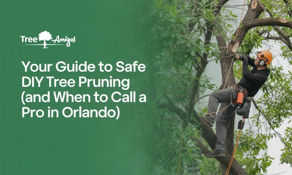 Your Guide to Safe DIY Tree Pruning (And When to Call a Pro in Orlando)