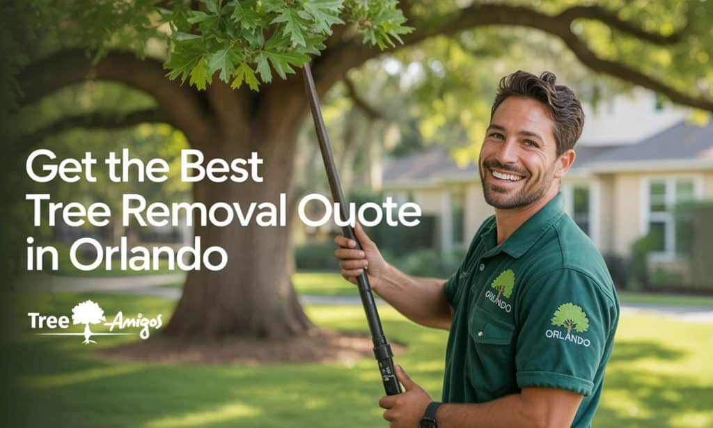 Get the Best Tree Removal Quote in Orlando: 10 Essential Questions for Professional Service & Fair Pricing