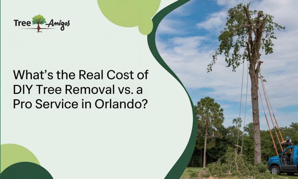 What's the Real Cost of DIY Tree Removal vs. a Pro Service in Orlando?