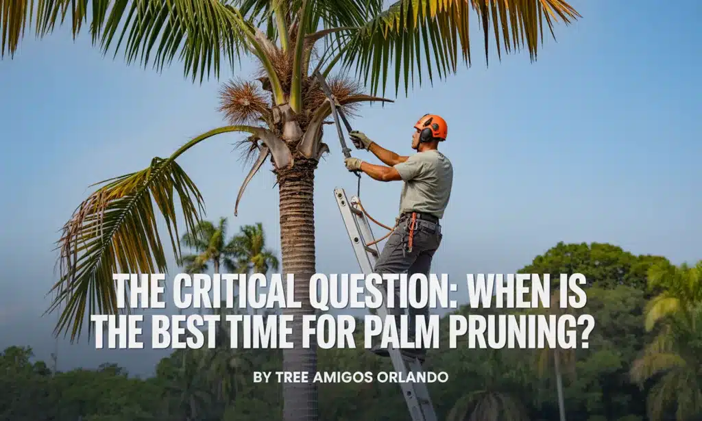 The Critical Question: When is the Best Time for Palm Pruning?