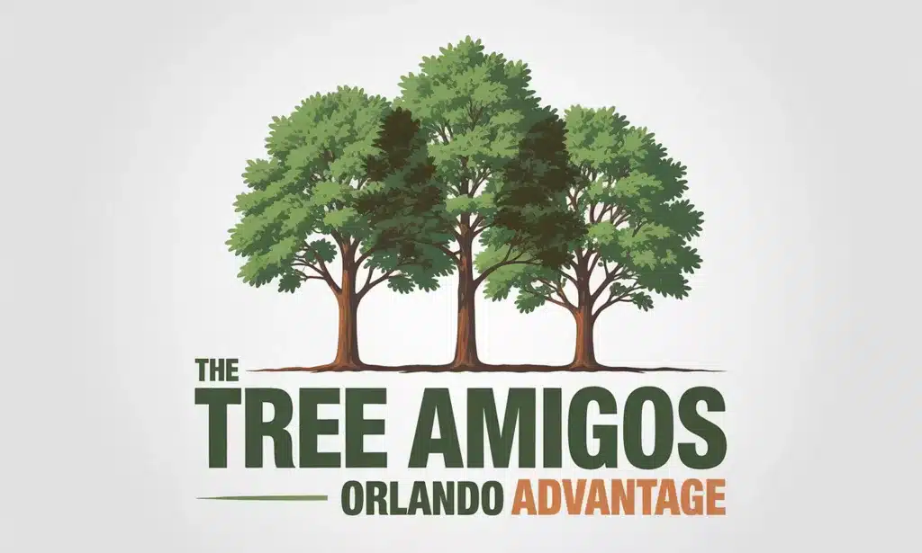 The Tree Amigos Orlando Advantage