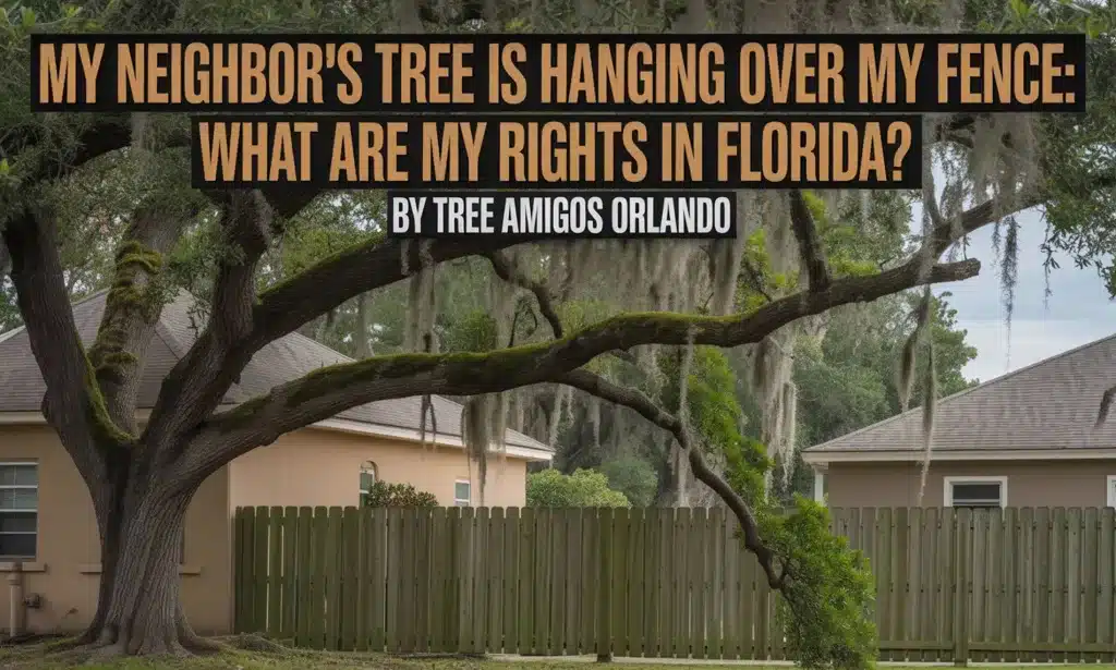My Neighbor's Tree is Hanging Over My Fence: What Are My Rights in Florida?